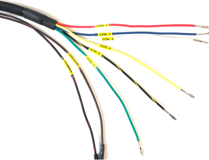 Wiring Specialties Harness Assembly - Ka24 Harness S13 Pro Series Wrs-Pro-Cph-S13Ka24-Hondakcoil