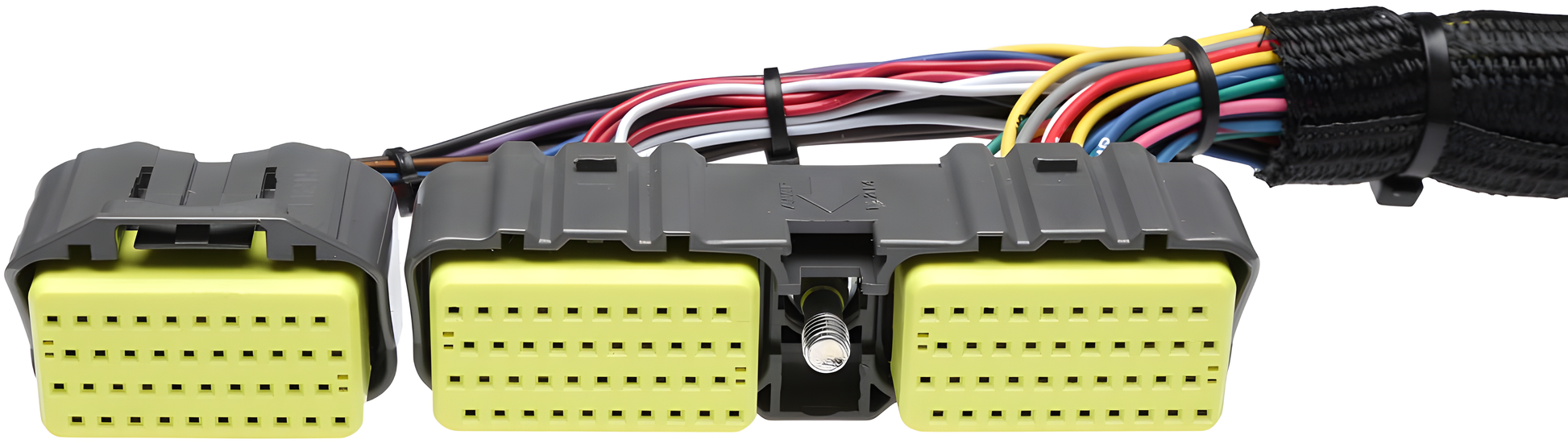 Wiring Specialties Harness Assembly - 2JZGTE PRO Series Harness for S14 RHD Silvia – WRS-PRO2JZ-S14RHD