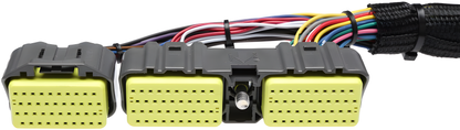 Wiring Specialties Harness Assembly - 2JZGTE PRO Series Harness for S14 RHD Silvia – WRS-PRO2JZ-S14RHD
