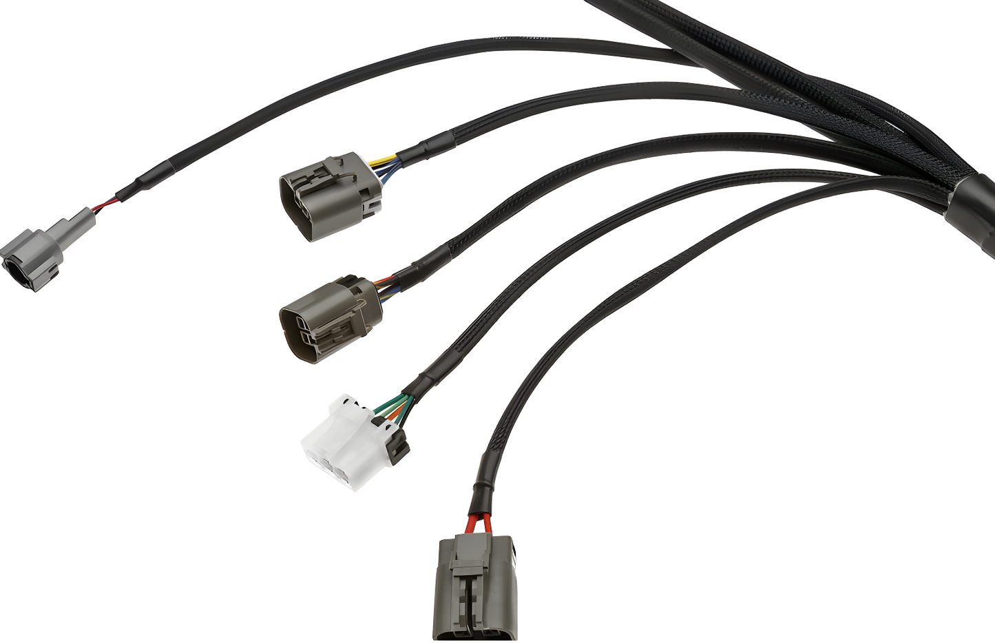 Wiring Specialties Harness Assembly - RB25DET PRO Series Harness JDM RHD C33 Laurel WRS-PRORB25-C33