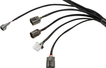 Wiring Specialties Harness Assembly - RB25DET PRO Series Harness JDM RHD C33 Laurel WRS-PRORB25-C33
