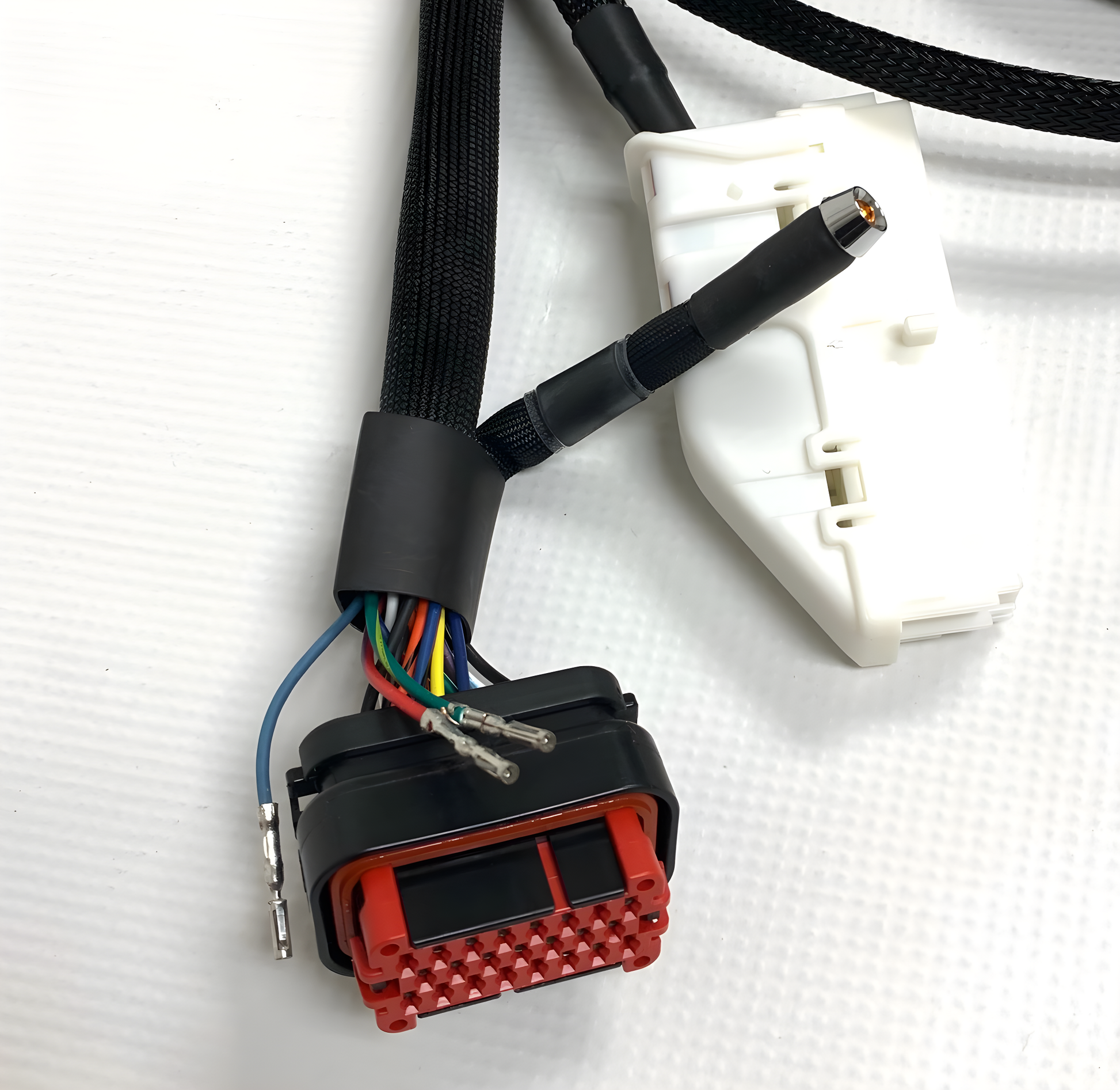 Wiring Specialties Harness Assembly - LS1 PRO Series Harness for USDM Nissan 350Z – Part WRS-PROLSXG4-350Z