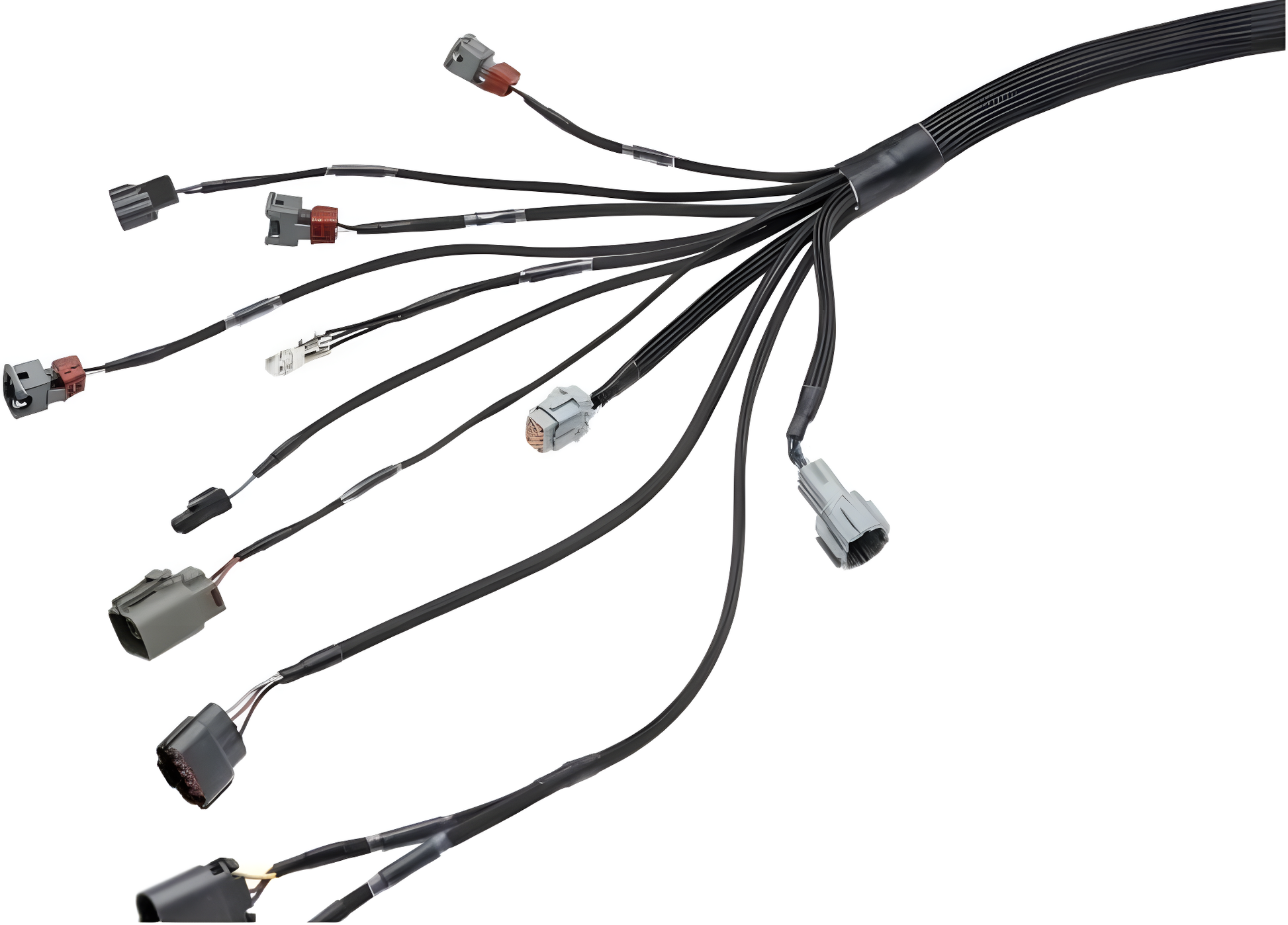 Wiring Specialties Harness Assembly - RB20DET PRO Series Harness for S13 240SX – WRS-PRORB20-S13