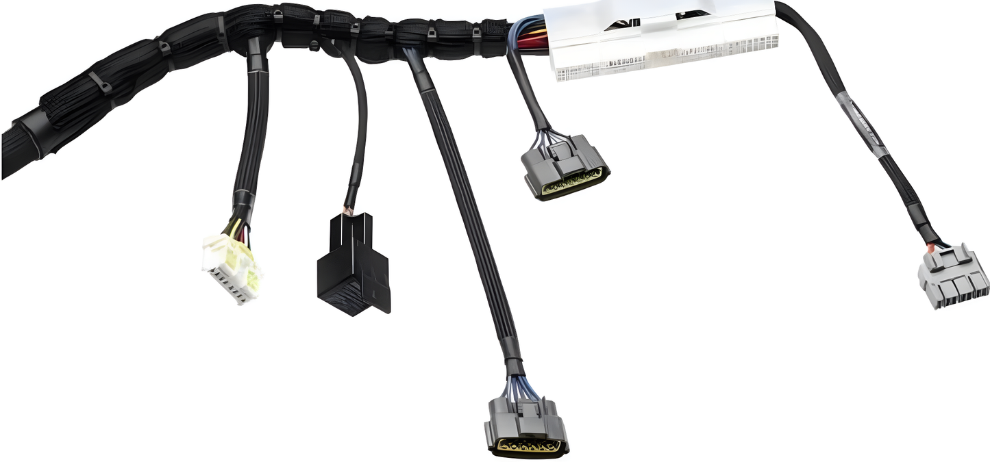 Wiring Specialties Harness Assembly - RB25DET Standalone Harness - PRO SERIES Universal WRS-PRORB25-UNI
