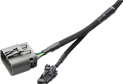 Wiring Specialties Harness Assembly - RB26DETT PRO Series Harness for Z32 300zx / Fairlady Z WRS-PRORB26-Z32