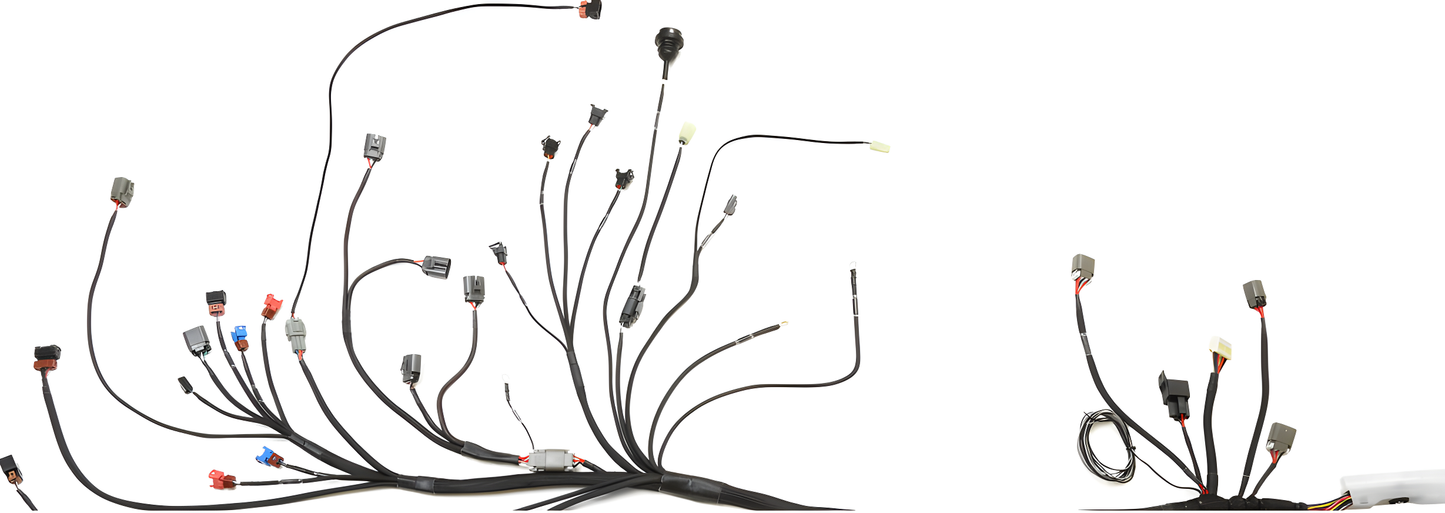 Wiring Specialties Harness Complete - CA18DET PRO Series Harness for S14 240SX WRS-PROCA18-S14