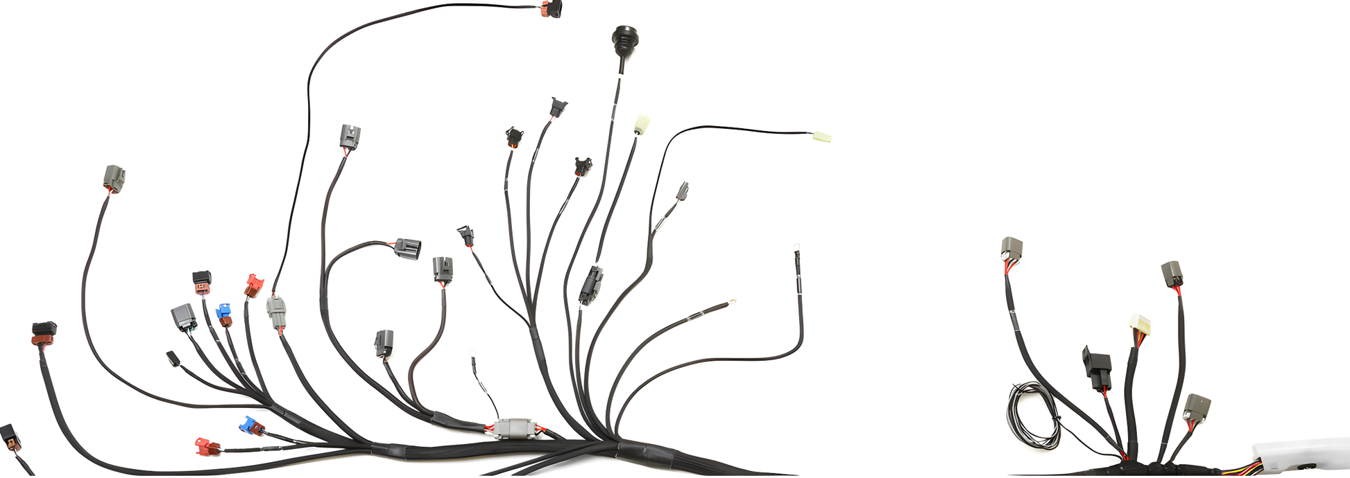 Wiring Specialties Harness Complete - CA18DET PRO Series Harness for S14 240SX WRS-PROCA18-S14