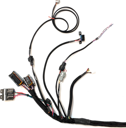 Wiring Specialties Harness Complete - VQ35DE PRO Series Harness for RHD JDM S13 Silvia / 180sx – WRS-PROVQ35-S13JDM