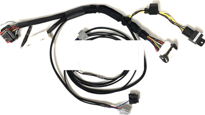 Wiring Specialties Harness Complete - LS1 PRO Series Harness for Z33 350Z – Part WRS-PROLS1-350Z