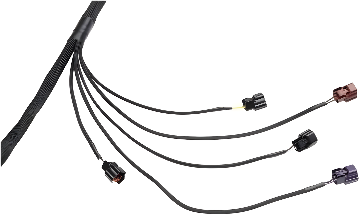 Wiring Specialties Harness Complete - RB25DET PRO Series Harness for Classic Datsun WRS-PRORB25-DAT