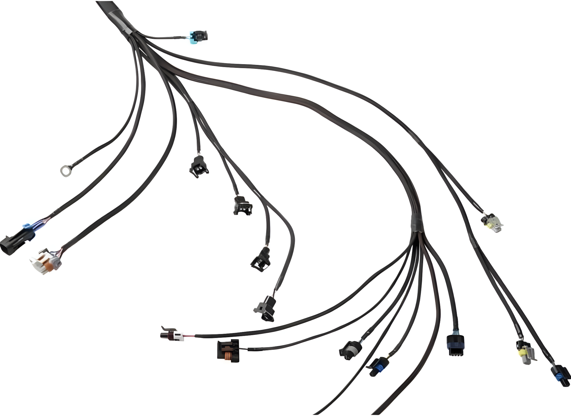 Wiring Specialties Harness Complete - LS1 / Vortec Swap Harness for S13 240sx - PRO SERIES WRS-PROLS1-S13