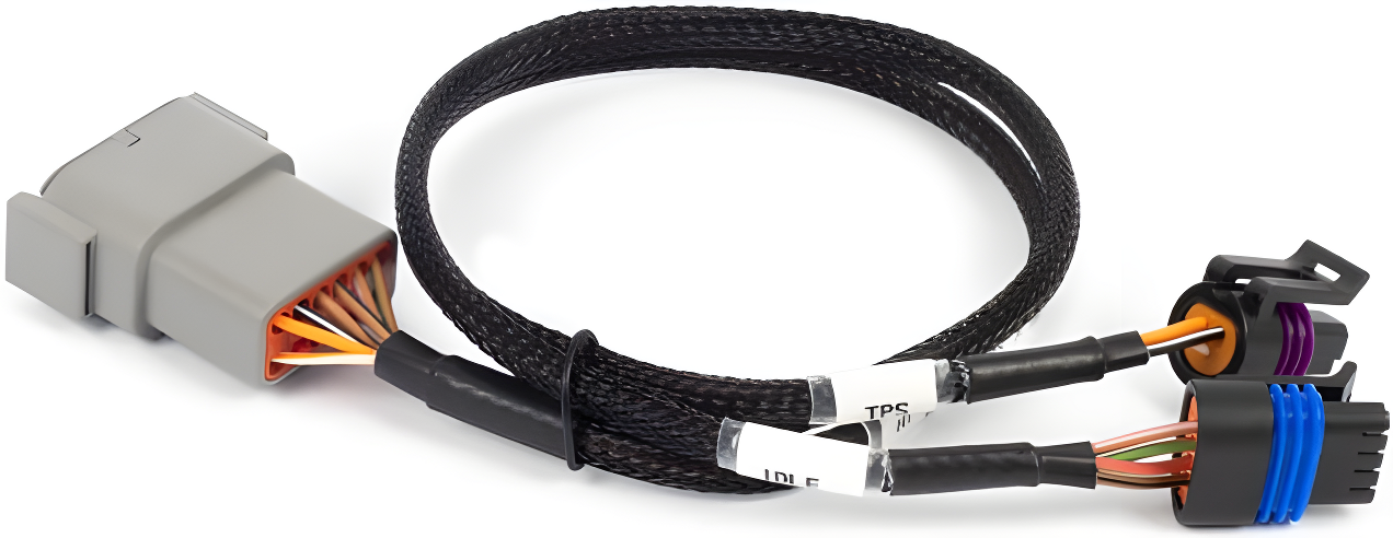 Wiring Specialties LS1 Harness 300ZX Standalone HT-186504 Main Photo