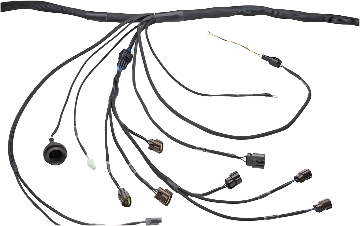 Wiring Specialties Heat Shrink Protection - RB20DET PRO Series Harness for S13 240SX – WRS-PRORB20-S13