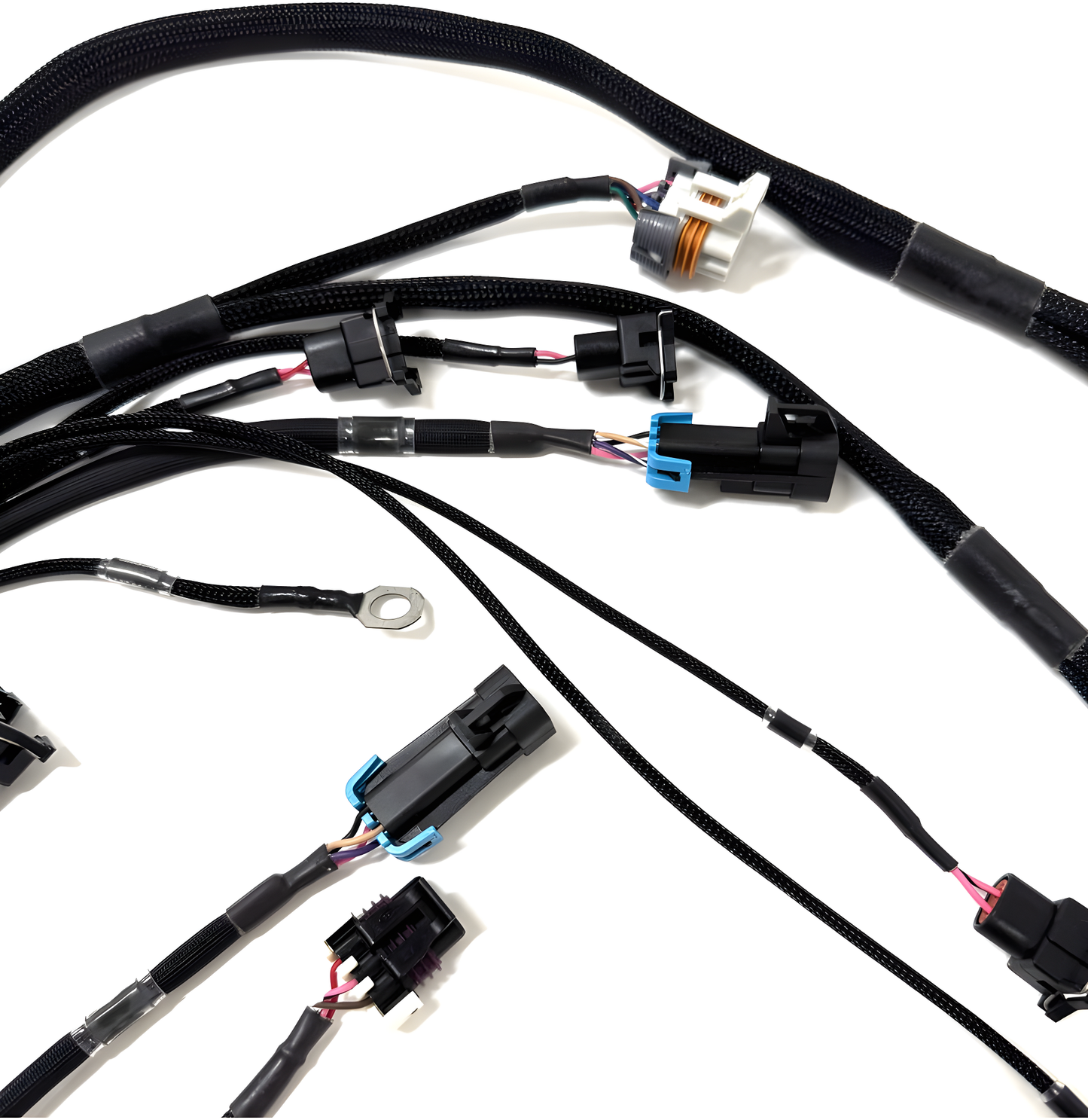 Wiring Specialties Heat Shrink Protection - LS1 PRO Series Harness for BMW E46 – WRS-PROLS1-E46