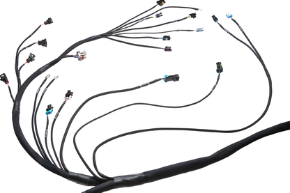Wiring Specialties Heat Shrink Protection - LS1 Harness PRO Series Universal WRS-PROLS1-UNI-PCU-HPT-COMBO