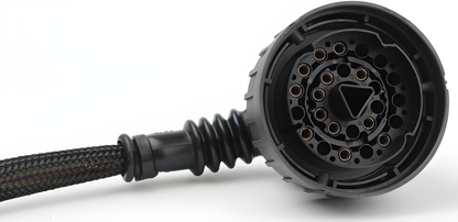 Wiring Specialties Heat Shrink Protection - LSx Gen IV DBC PRO Series Harness for BMW E36 WRS-PROLSXG4-E36