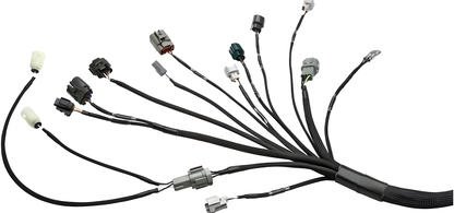 Wiring Specialties Included Hardware - RB25DET NEO PRO Series Harness for Classic Datsuns WRS-PRORB25NEO-DAT