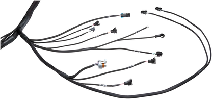 Wiring Specialties Installation Instructions - LS1 PRO Series Harness Universal WRS-PROLS1-UNI