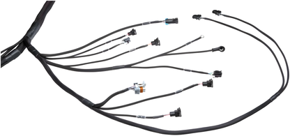 Wiring Specialties Installation Instructions - LS1 PRO Series Harness Universal WRS-PROLS1-UNI