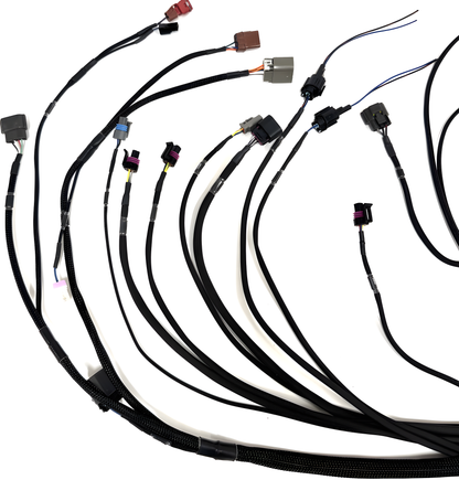 Wiring Specialties Installation Instructions - VG30DETT Harness 300ZX / Fairlady Z32 PRO ECU SERIES WRS-VG30-HTE2500-PRO