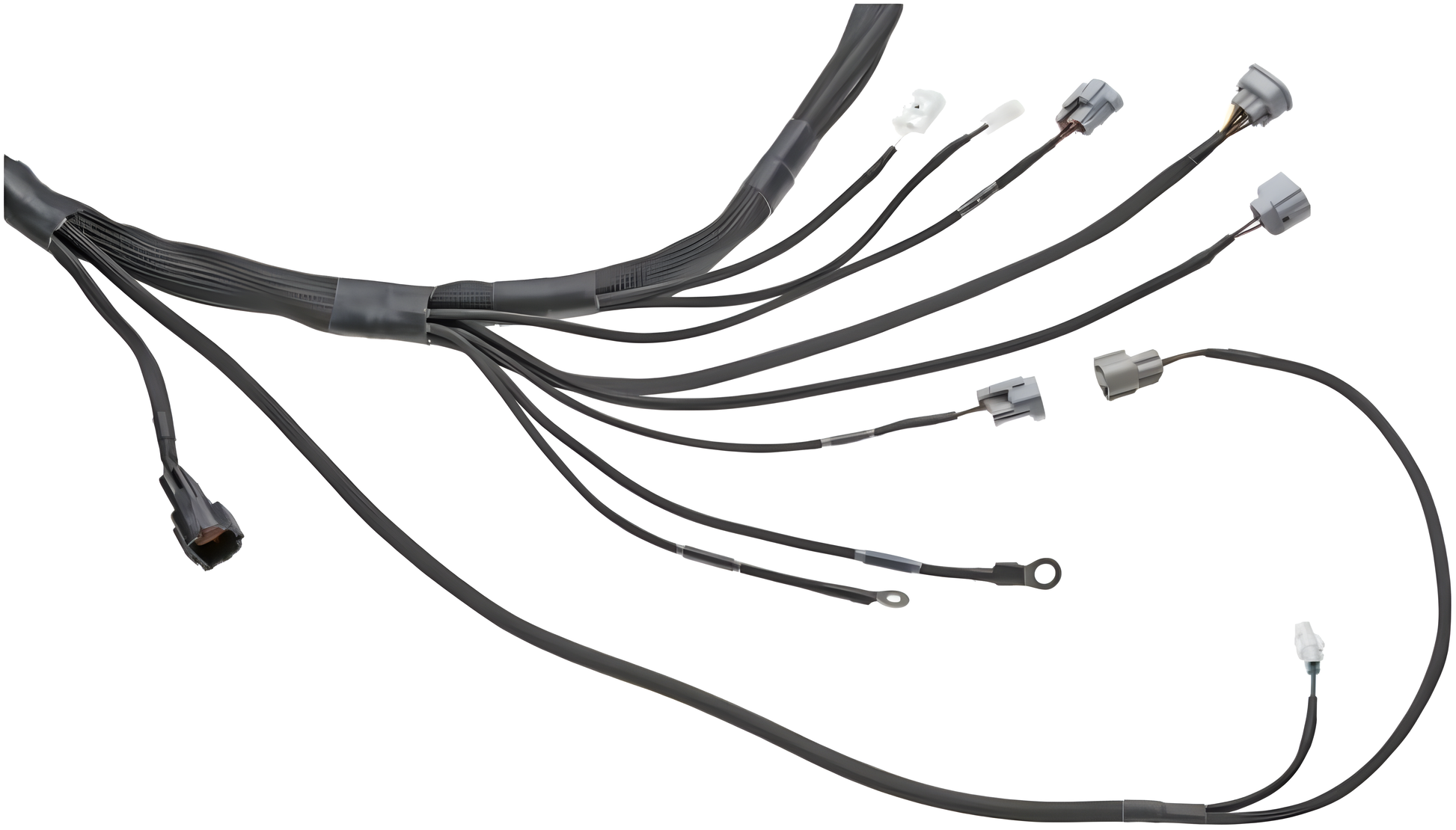 Wiring Specialties Installation Instructions - 1JZGTE PRO Series Harness for Nissan S13 200sx (LHD EURO) – WRS-PRO1JZ-200SX