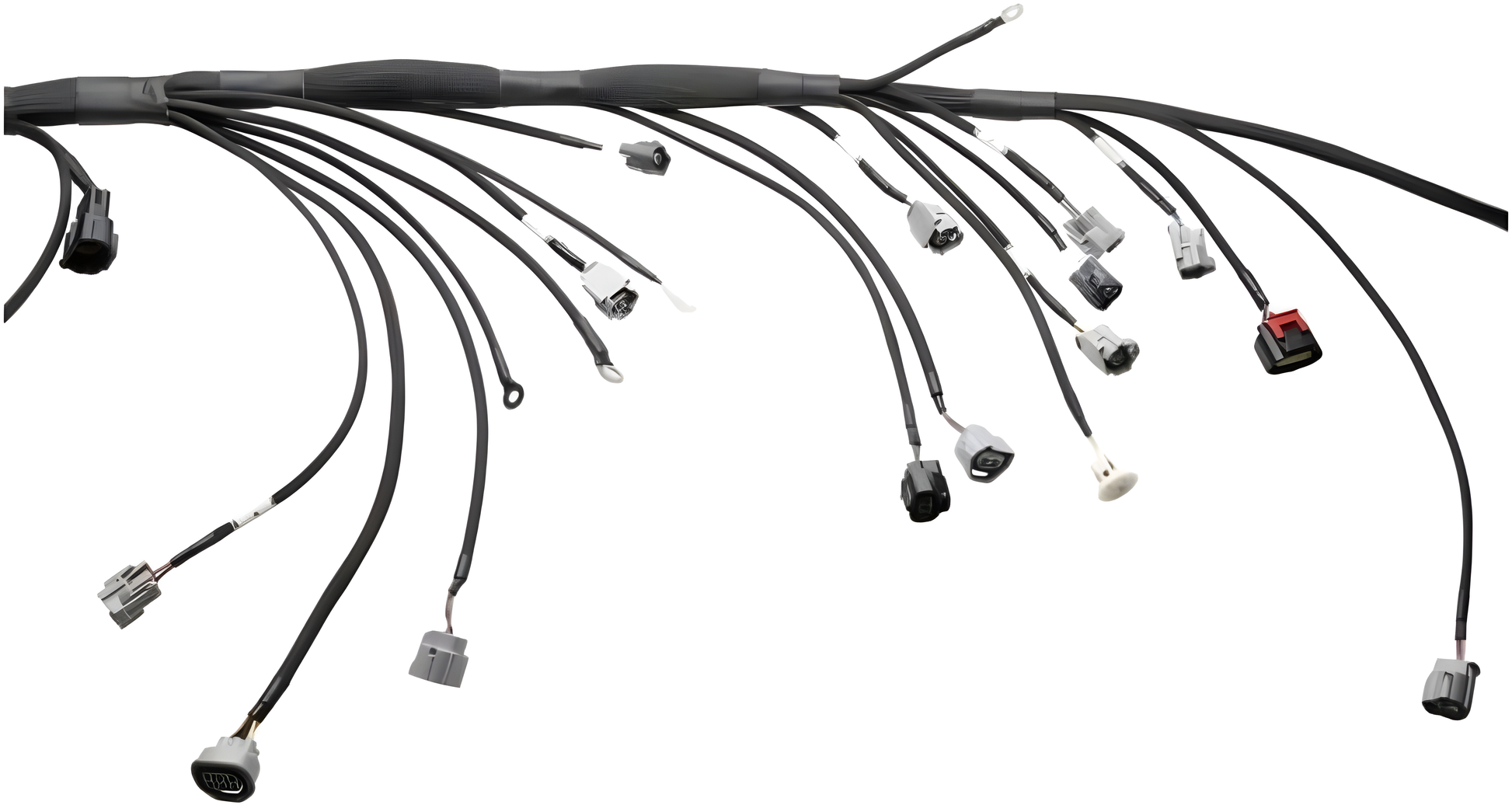 Wiring Specialties Installation Instructions - 2JZGTE Standalone PRO Series Harness Universal WRS-PRO2JZ-UNI