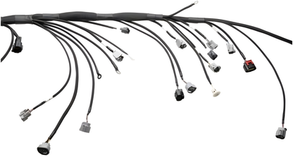 Wiring Specialties Installation Instructions - 2JZGTE Standalone PRO Series Harness Universal WRS-PRO2JZ-UNI