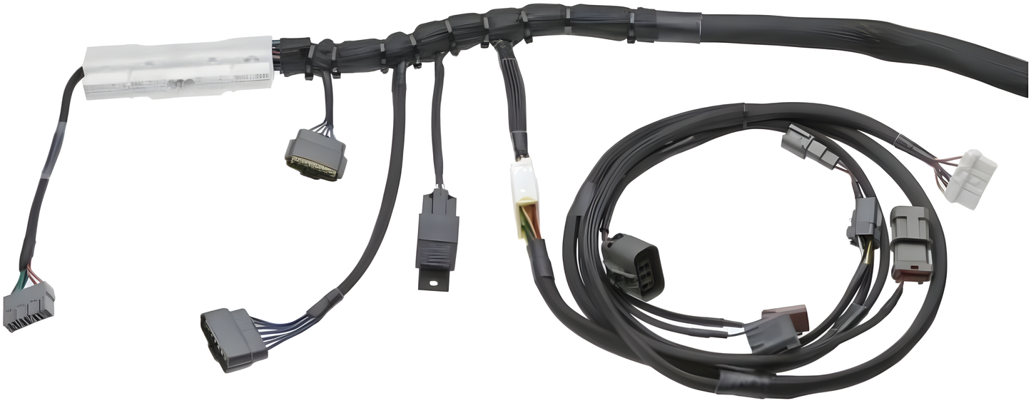 Wiring Specialties Installation Instructions - RB20DET PRO Series Harness for S13 240SX – WRS-PRORB20-S13