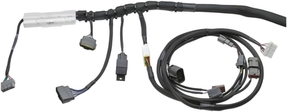 Wiring Specialties Installation Instructions - RB20DET PRO Series Harness for S13 240SX – WRS-PRORB20-S13