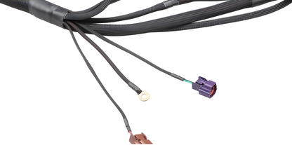 Wiring Specialties Installation Instructions - SR20DET PRO Series Harness for S14 Datsun WRS-PROS14SR20-DAT
