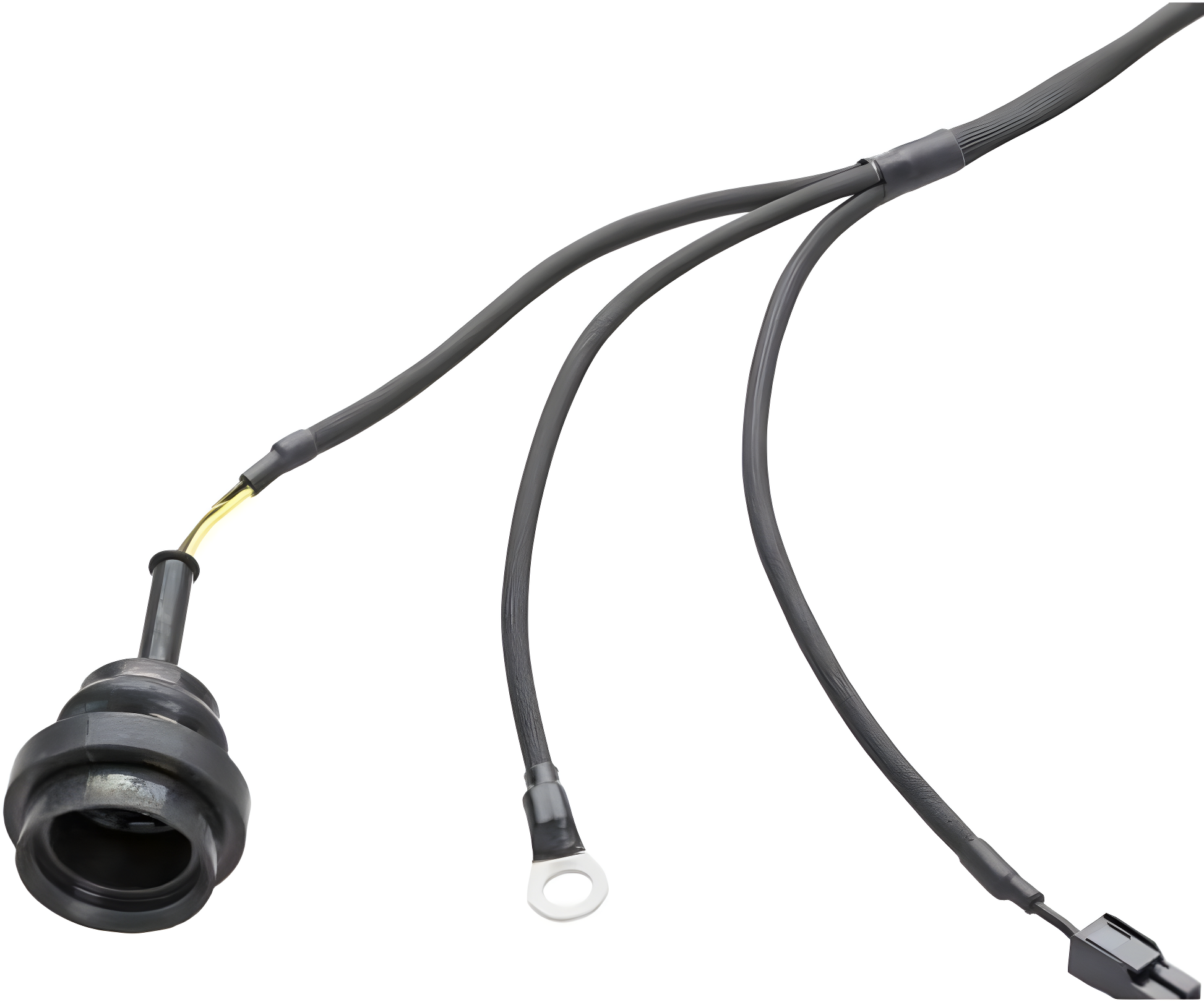 Wiring Specialties Installation Instructions - RB26DETT PRO Series Harness for BMW E36 – WRS-PRORB26-E36