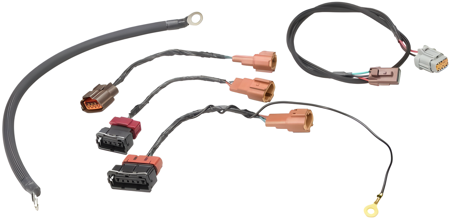 Wiring Specialties Installation Ready - SR20DET PRO Series Harness for S14 Datsun WRS-PROS14SR20-DAT