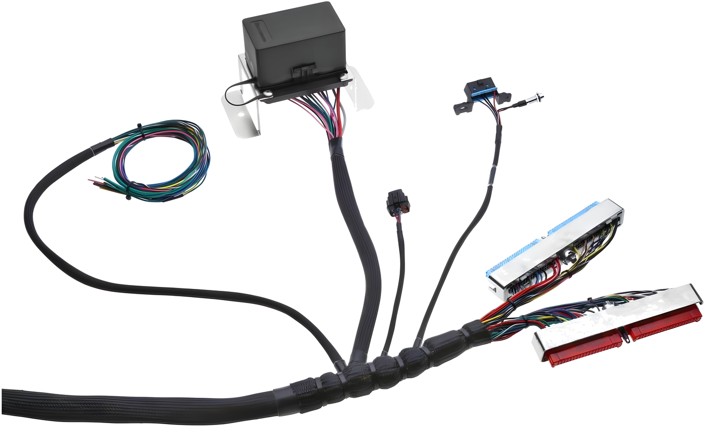 Wiring Specialties Installation Ready - LS1 / Vortec PRO Series Harness for Datsun WRS-PROLS1-DAT