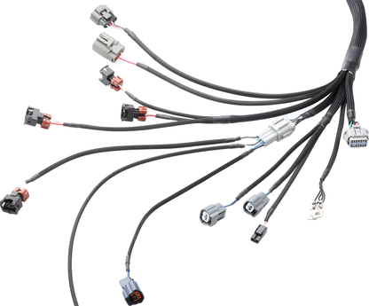 Wiring Specialties Installation Ready - RB26DETT PRO Series Harness for C33 Laurel WRS-PRORB26-C33