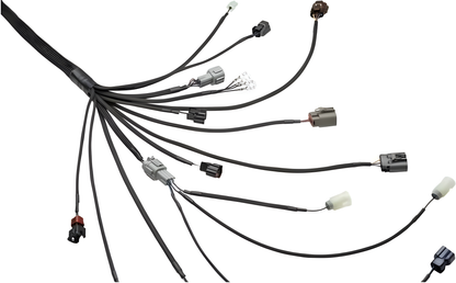 Wiring Specialties Installation Ready - RB25DET PRO Series Harness for Z32 300zx / Fairlady Z – WRS-PRORB25-Z32
