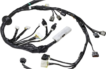 Wiring Specialties Installation Ready - RB26DETT Engine Harness OEM Series for R32 Skyline GTR – WRS-RB26R32-COMBO