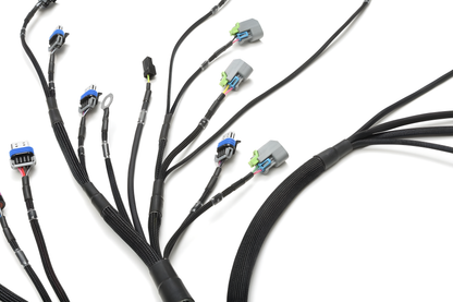 Wiring Specialties Installation Ready - LS3 Gen IV Harness for Datsun - PRO SERIES WRS-PROLS3-DAT