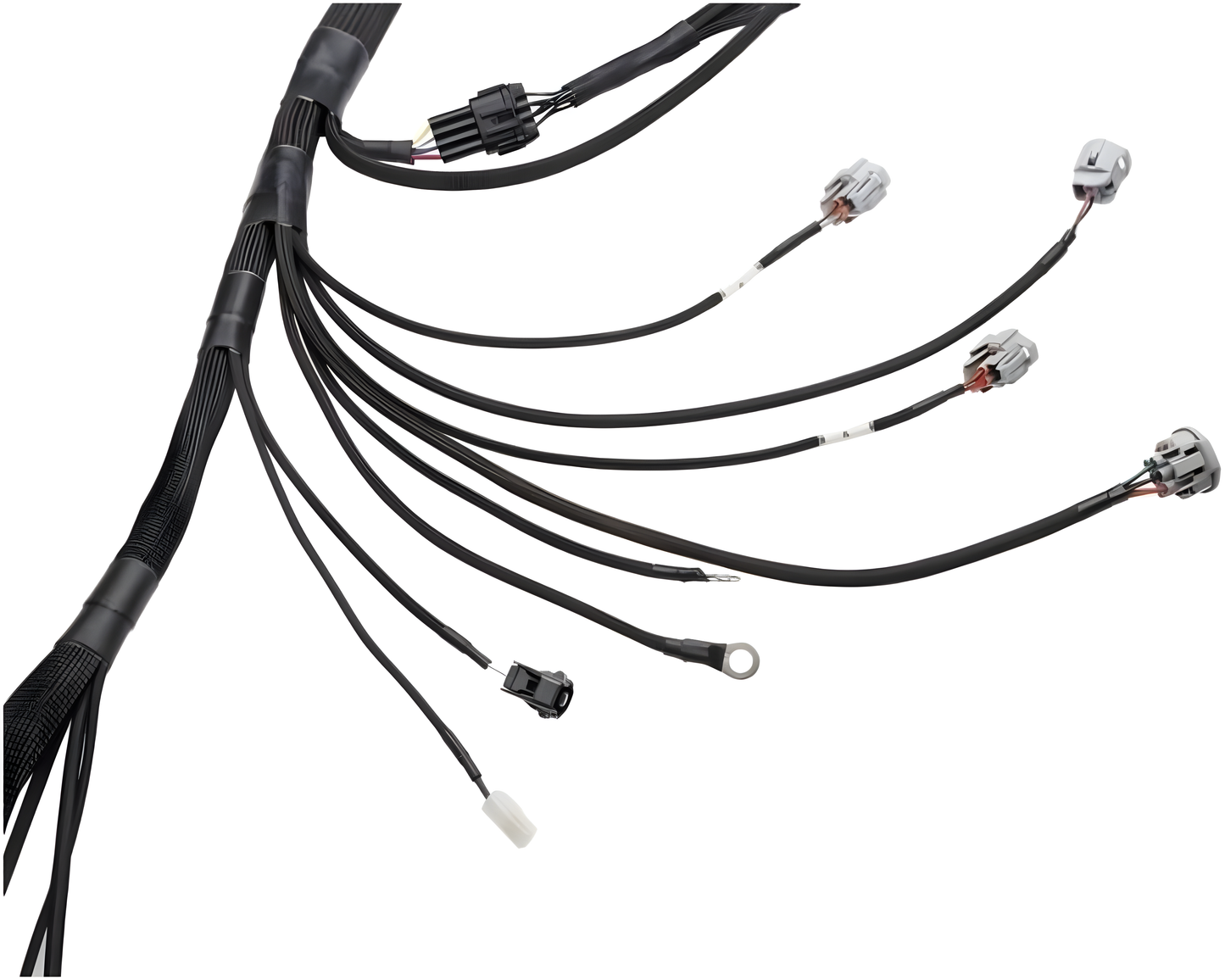 Wiring Specialties Installation Ready - 2JZGTE Standalone PRO Series Harness Universal WRS-PRO2JZ-UNI