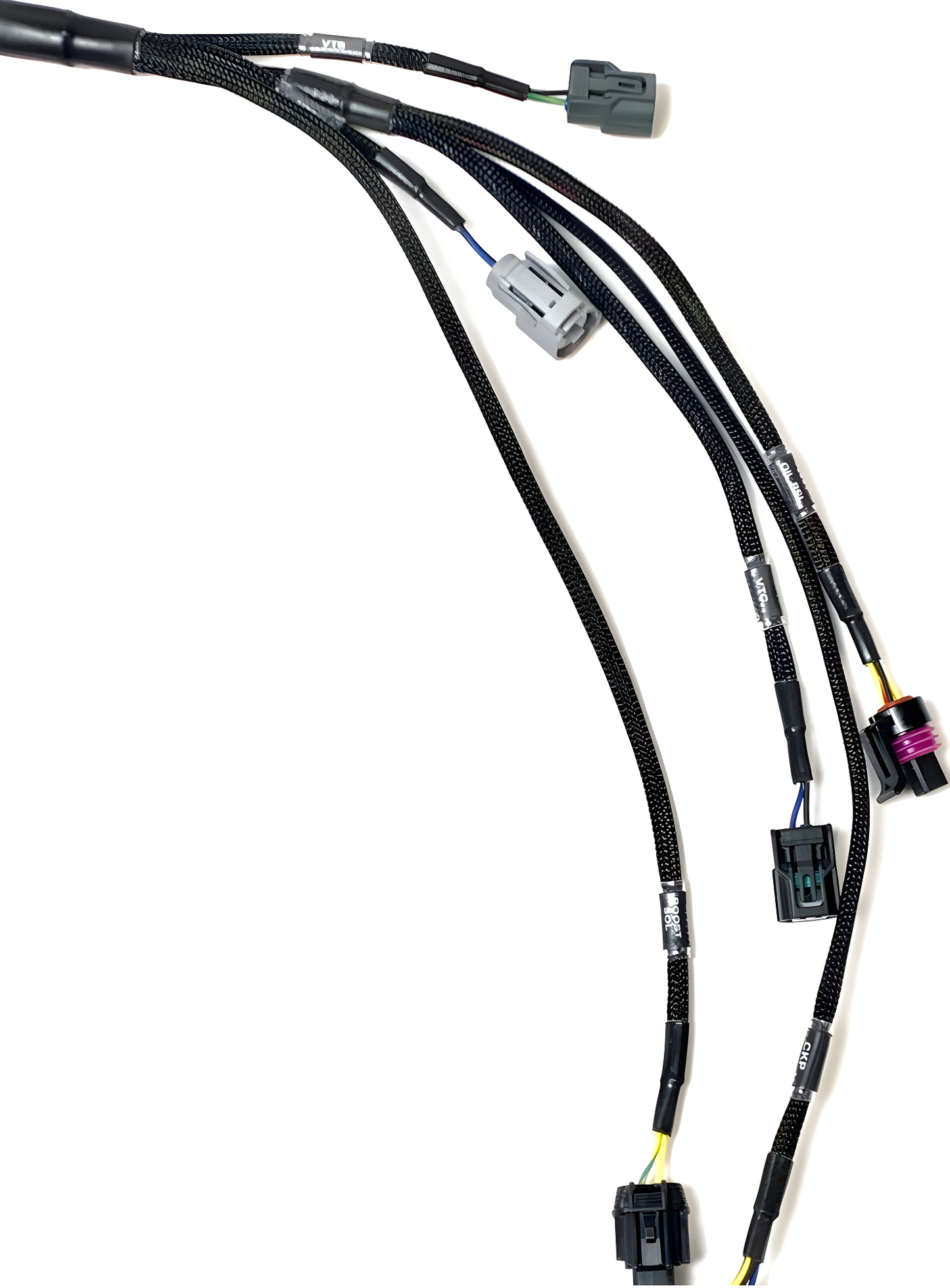 Wiring Specialties Installation Ready - K24 PRO Series Harness for FRS/BRZ/86 WRS-PROK20K24-FRS-BRZ
