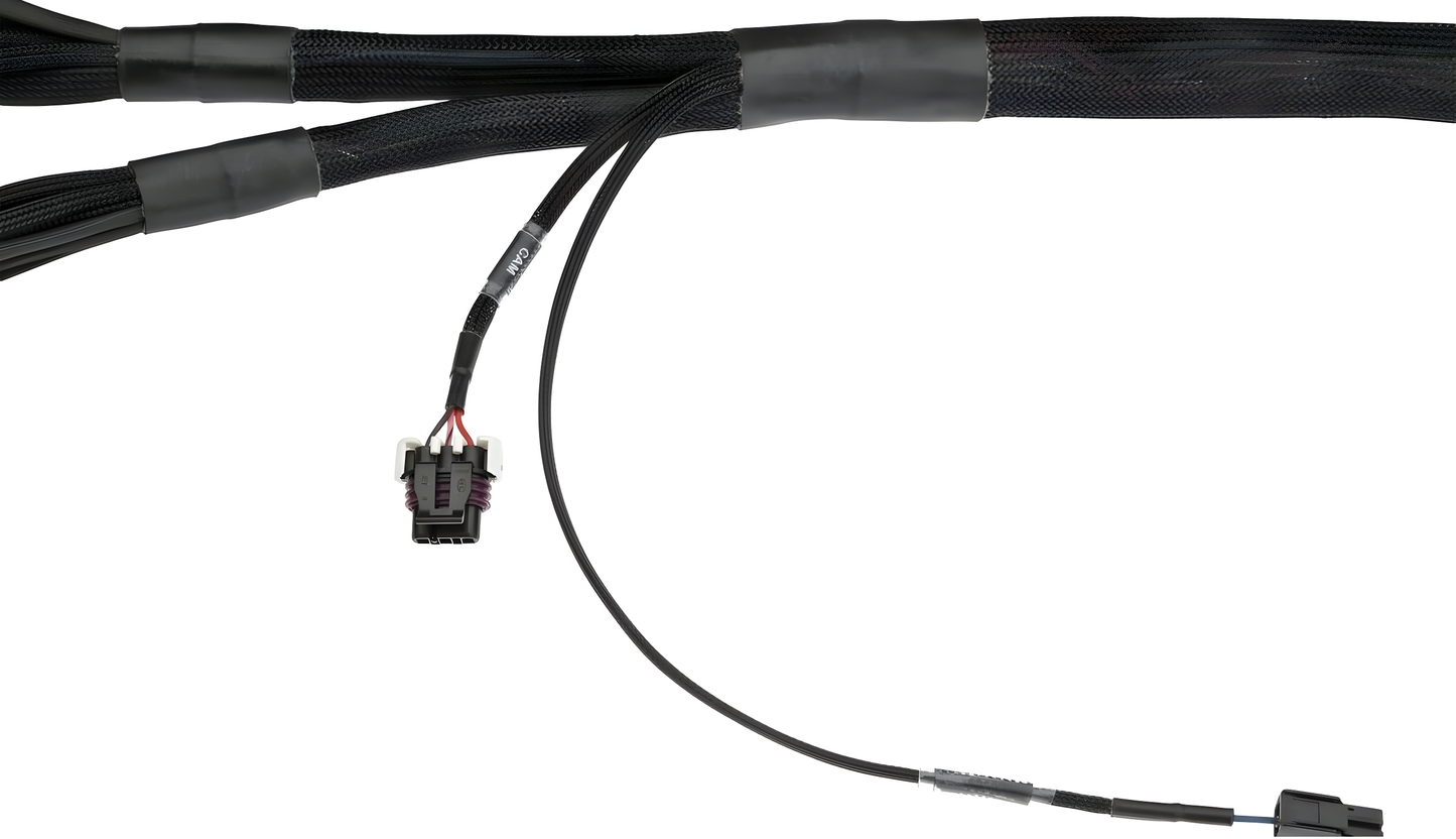 Wiring Specialties Installation Ready - LS1 PRO Series Harness for Nissan Z33 350Z – Part WSP-SIKKY-350Z