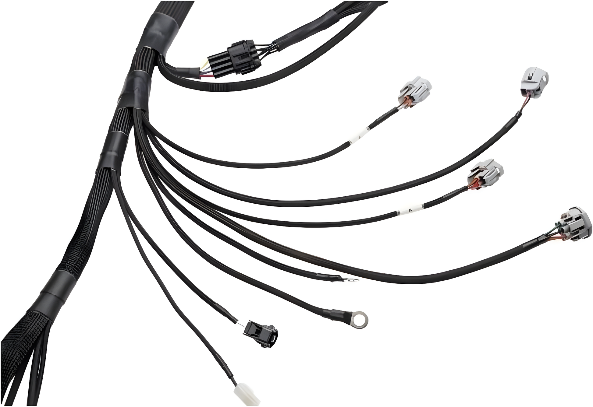 Wiring Specialties Installation Ready - 2JZGTE PRO Series Harness S13 WRS-PRO2JZ-DAT