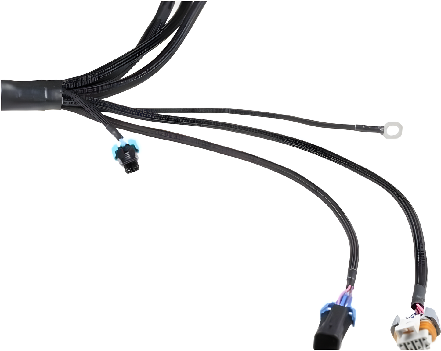 Wiring Specialties Installation Ready - LS1 / Vortec Swap Harness for S13 240sx - PRO SERIES WRS-PROLS1-S13