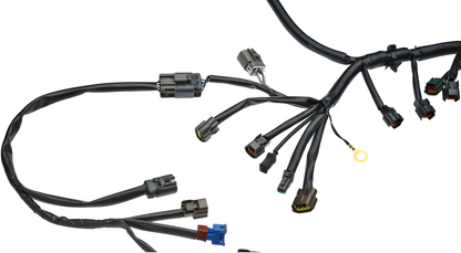 Wiring Specialties Ka24De Front - KA24DE Engine Harness for S14 240SX OEM SERIES WRS-S14KA-MAIN