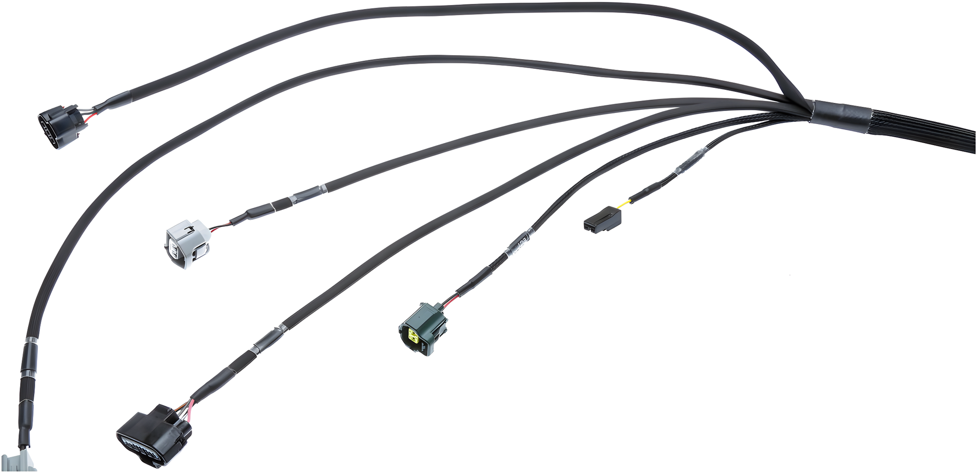 Wiring Specialties Label Specifications - 2JZGTE / 2JZGE VVTi PRO Series Harness BMW E39 WRS-PRO2JZVVTI-E39