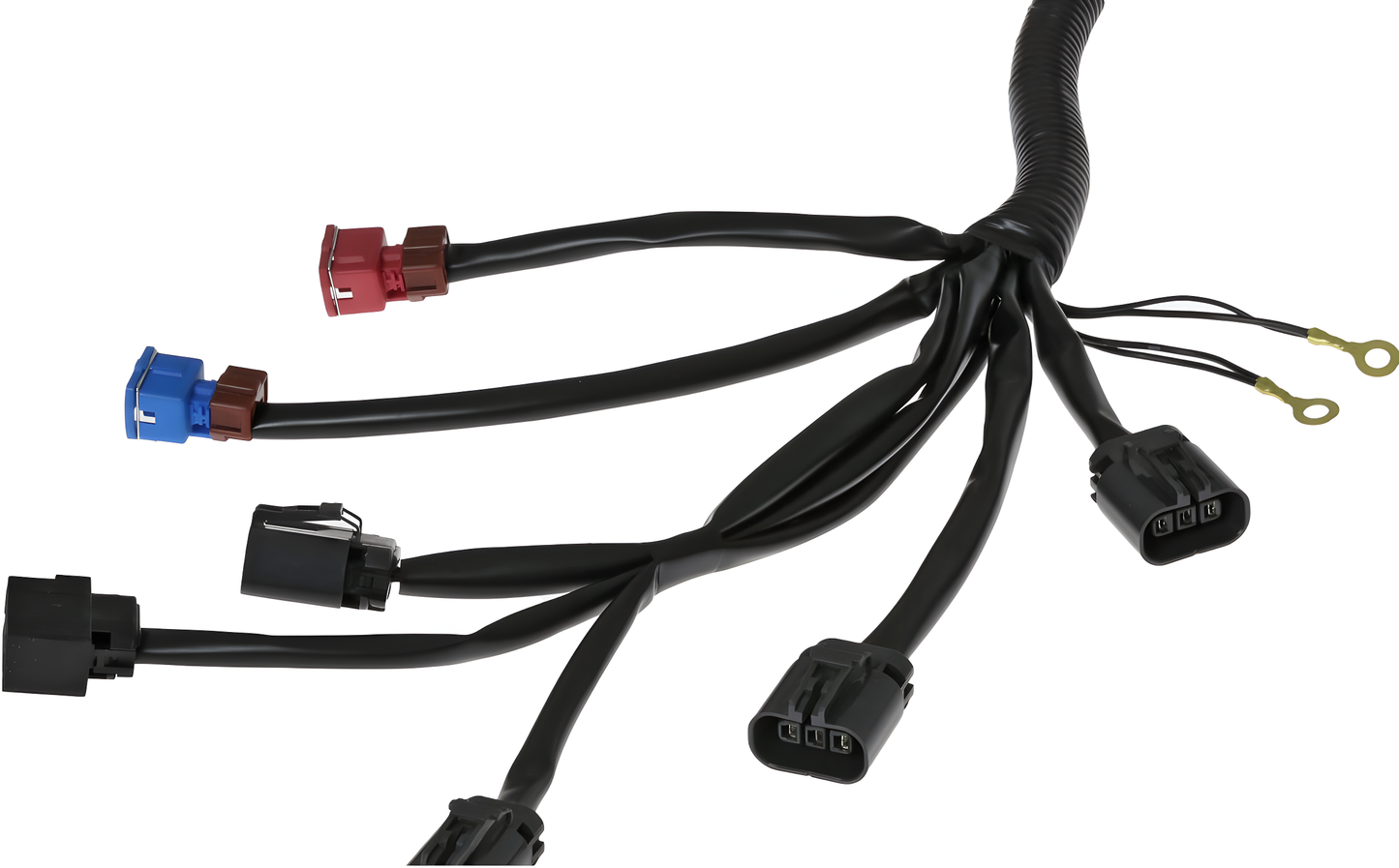 Wiring Specialties Label Specifications - VG30DE(TT) to RHD Z32 Fairlady Main Engine Harness - PRO Series - WRS-Z32RHD-MAIN