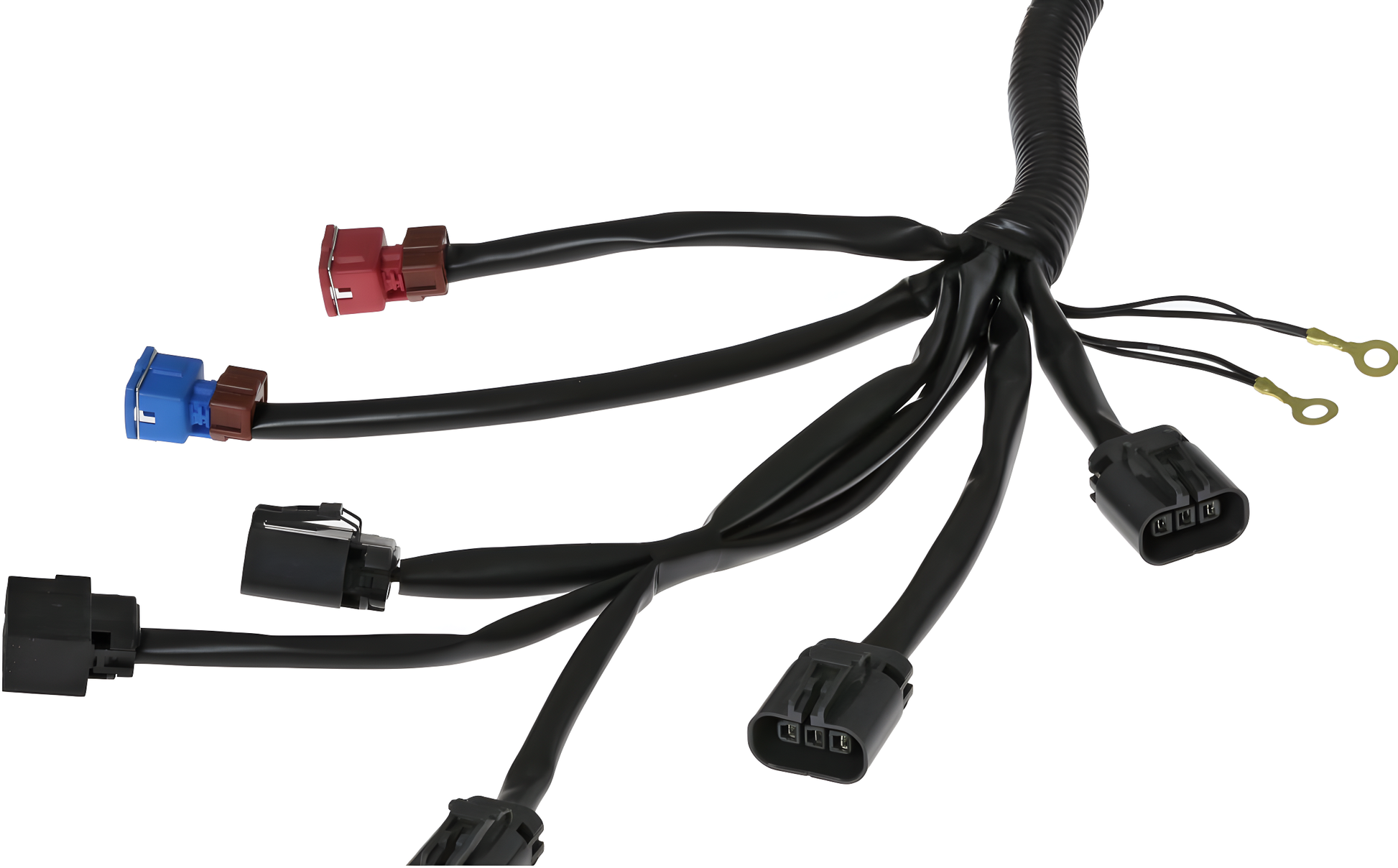 Wiring Specialties Label Specifications - VG30DE(TT) to RHD Z32 Fairlady Main Engine Harness - PRO Series - WRS-Z32RHD-MAIN