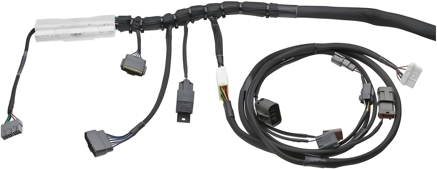 Wiring Specialties Label Specifications - RB20DET Harness for BMW E36 PRO SERIES WRS-PRORB20-E36