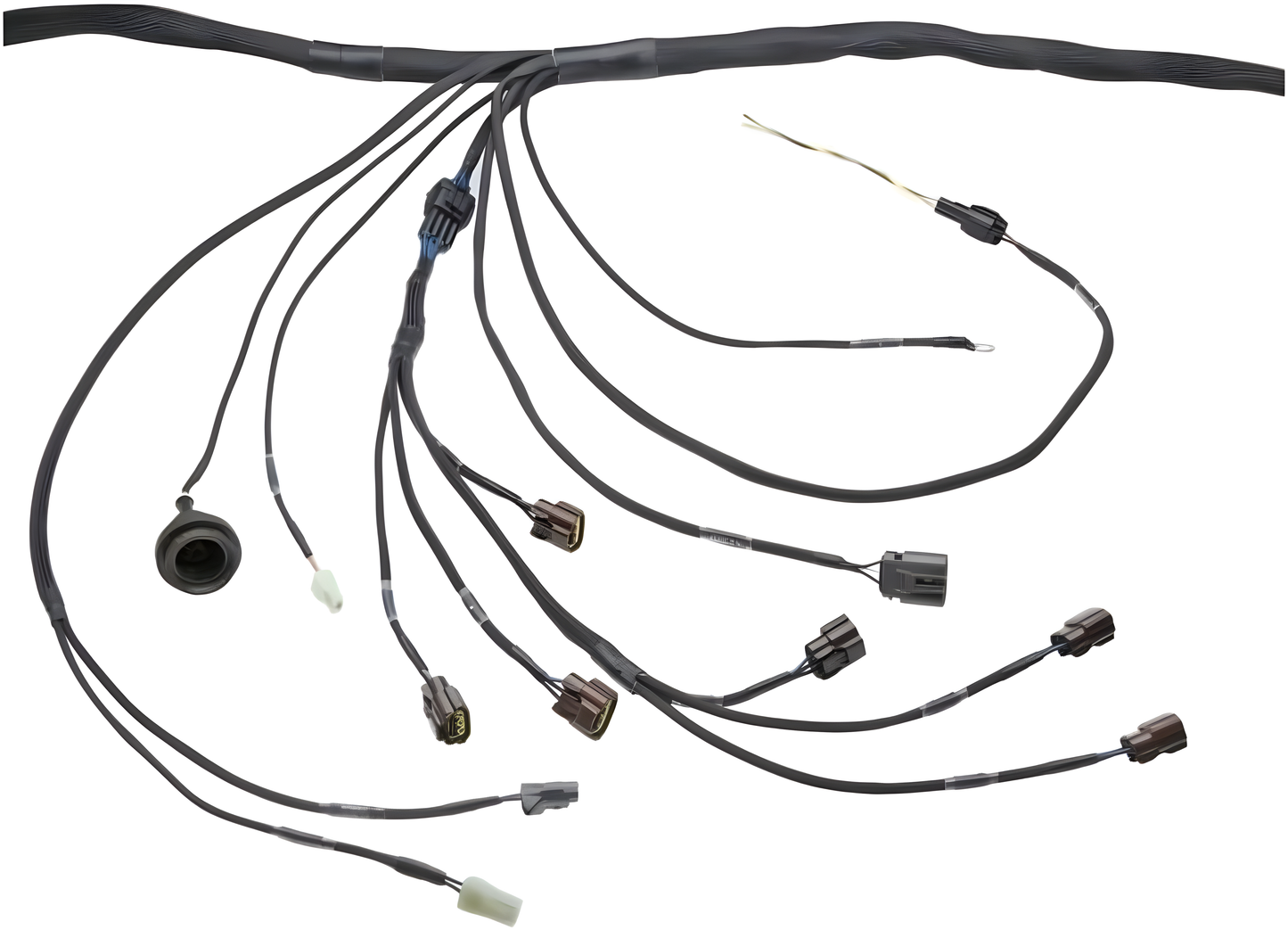 Wiring Specialties Label Specifications - RB20DET PRO Series Harness for Z32 300ZX / Fairlady Z – WRS-PRORB20-Z32