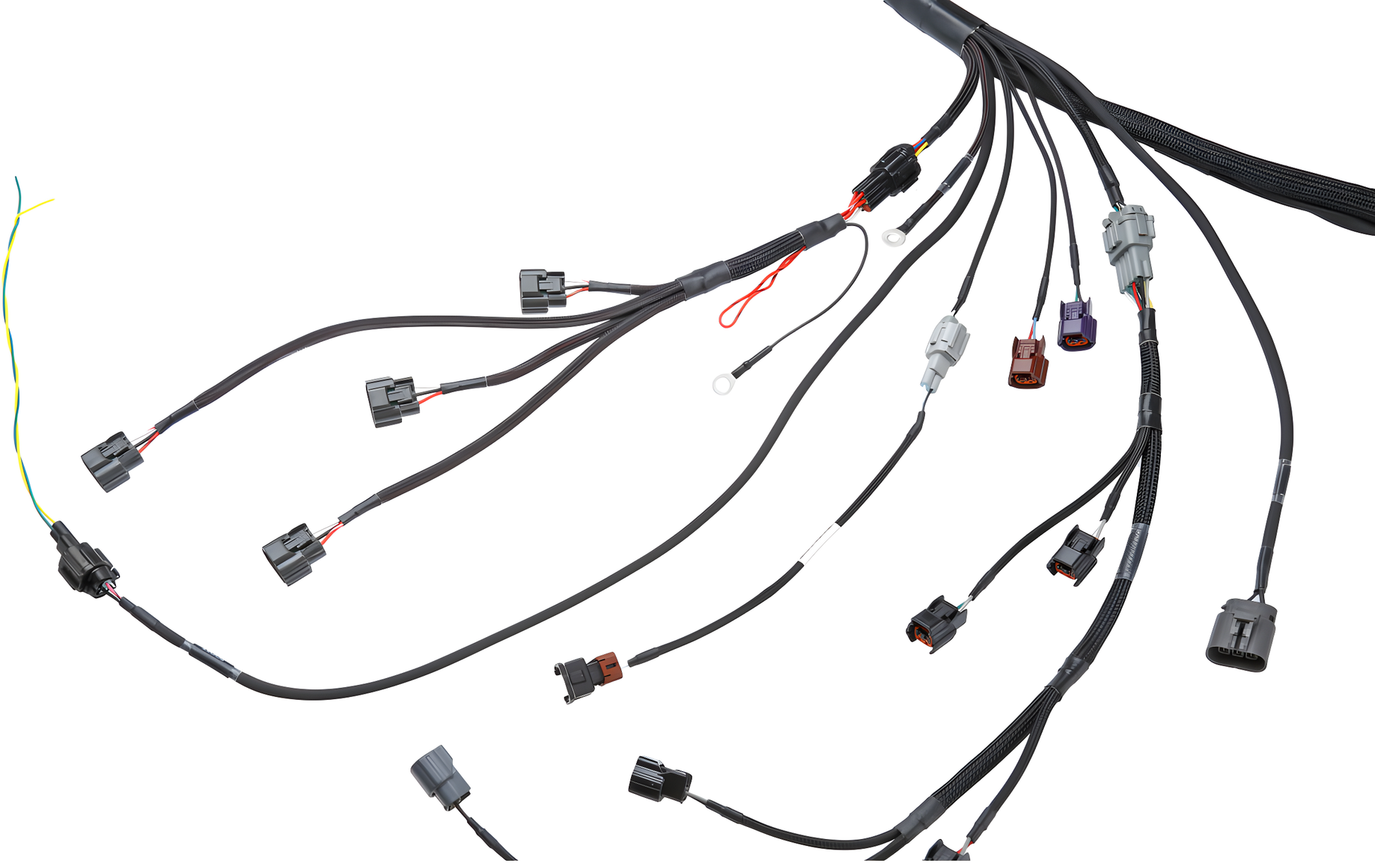 Wiring Specialties Label Specifications - S15 SR20DET PRO Series Harness for S13 240SX – WRS-PROS15SR20-S13