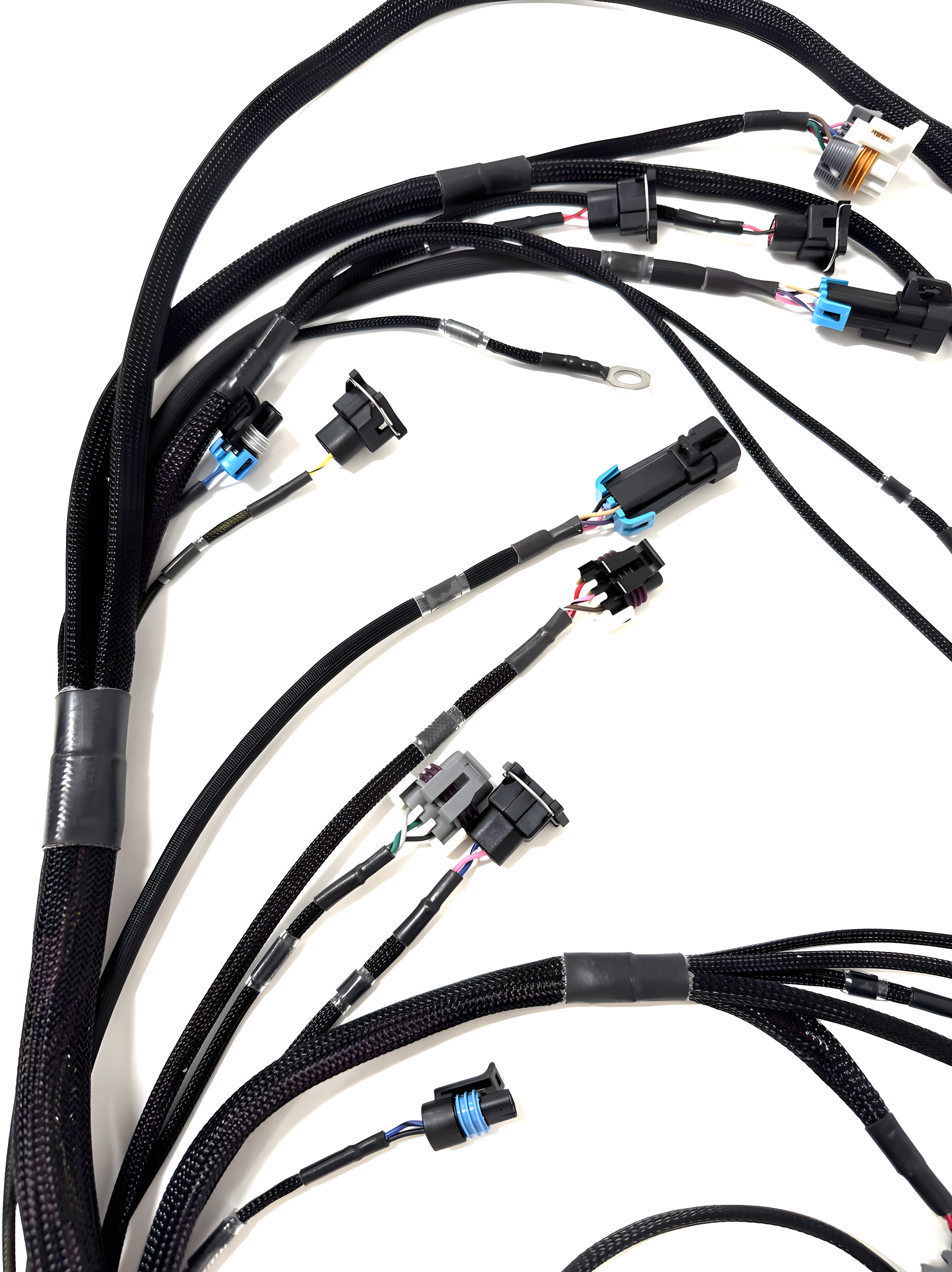 Wiring Specialties Label Specifications - LS1 PRO Series Harness for BMW E46 – WRS-PROLS1-E46